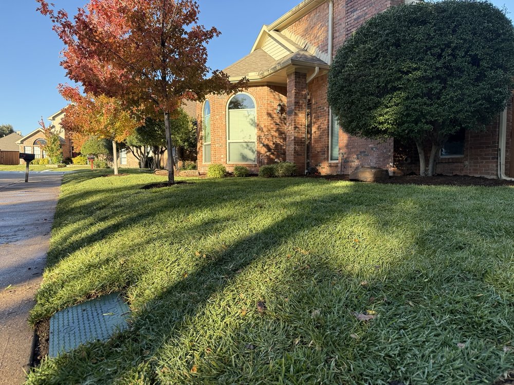 Texas Sage Landscaping & Lawn