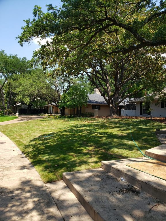 Saucedo Landscaping
