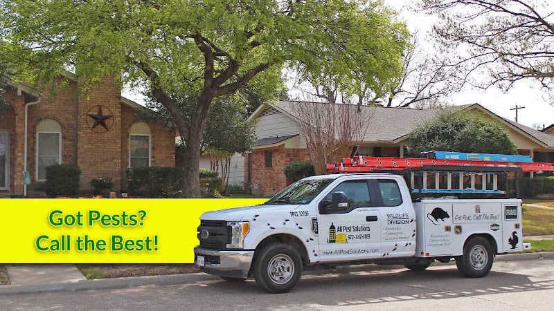 All Pest Solutions