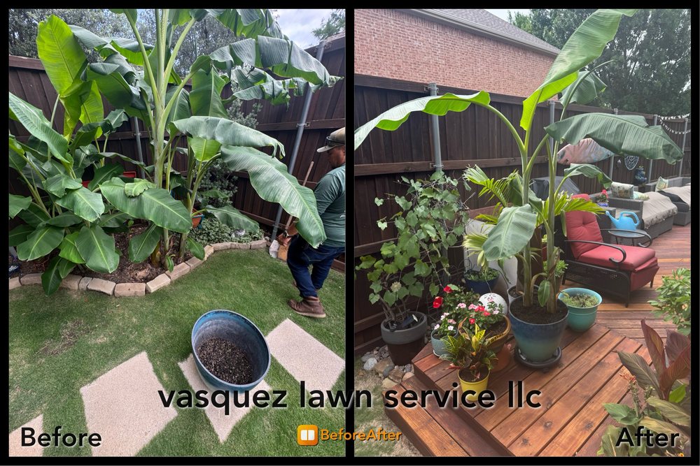 Vasquez lawn service