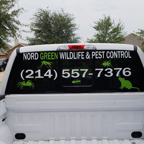 Nord Green Wildlife & Pest Control