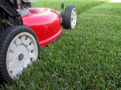 Oasis Lawn & Sprinkler