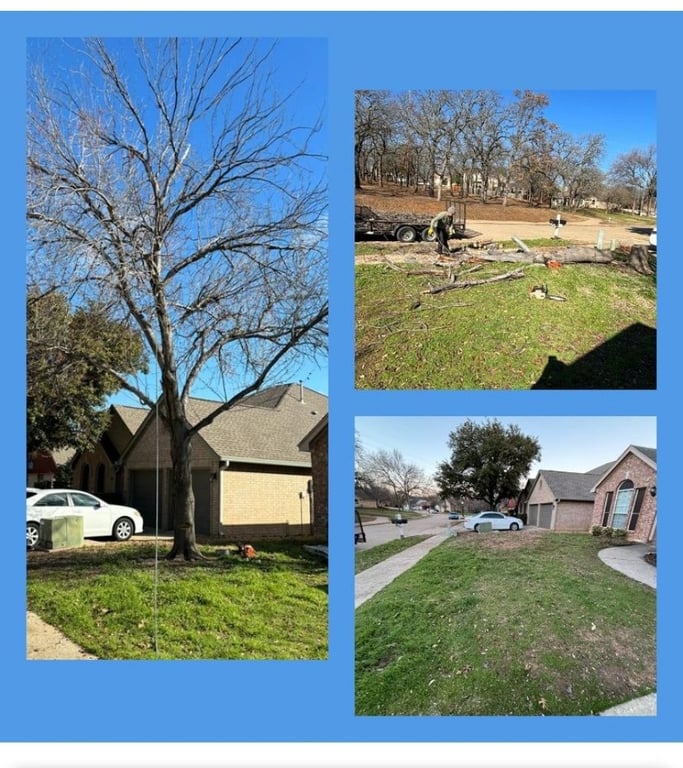Woodpecker Tree Service and Fence