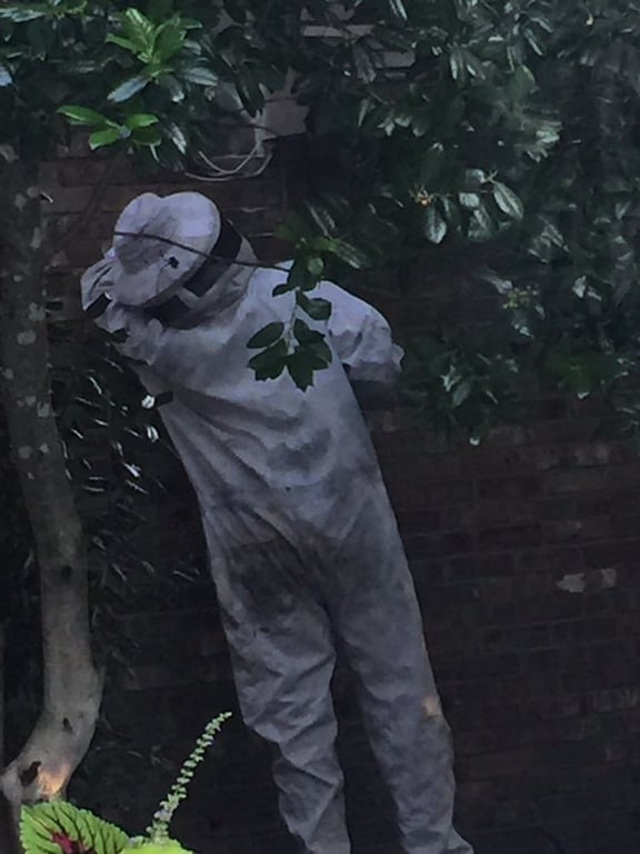 Bee Safe Bee Removal