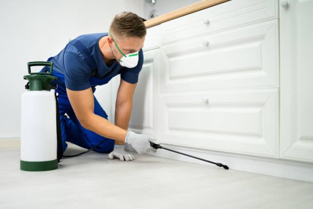 Prime Pest Experts Wylie TX
