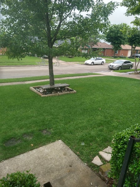Tims Lawn Care