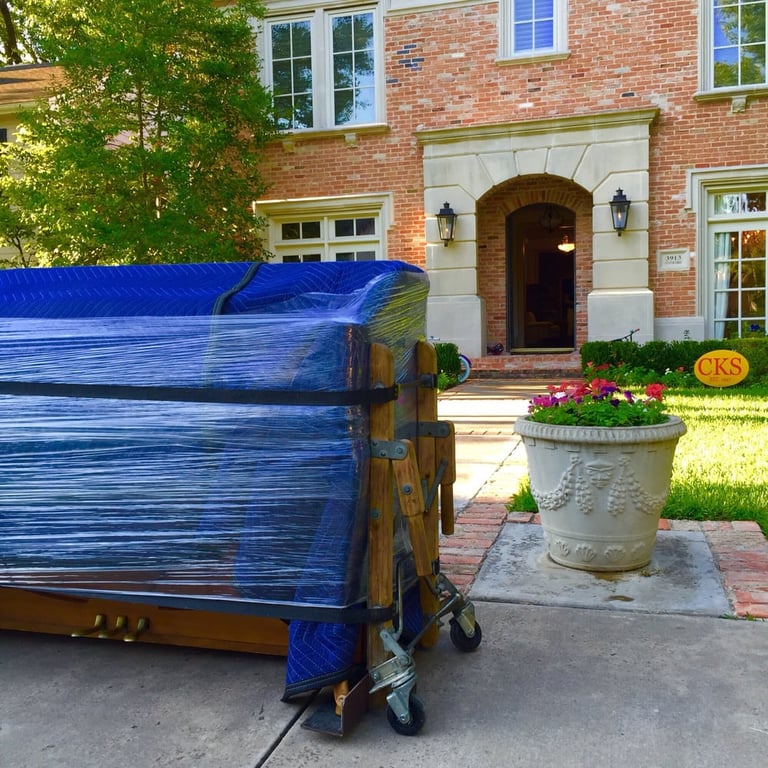 Magnificent Movers