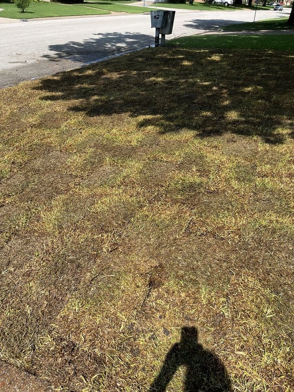 J&J Sod Company