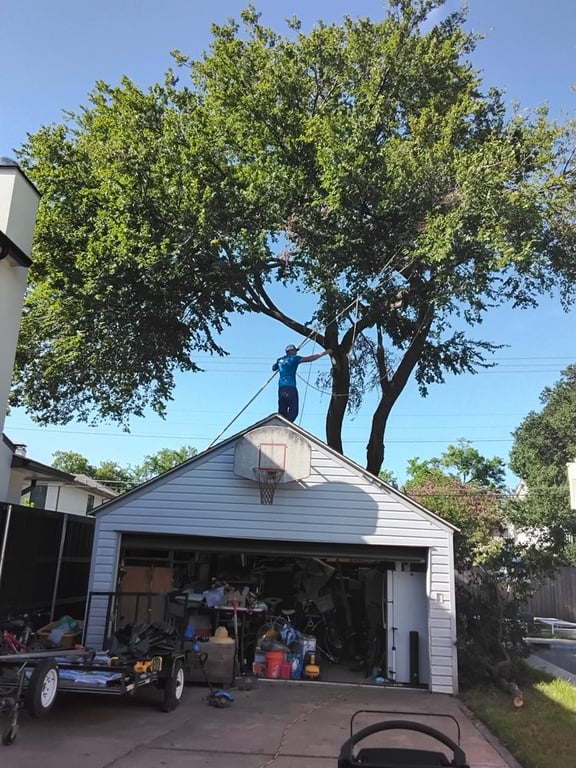Zelaya Landscape and Tree Service
