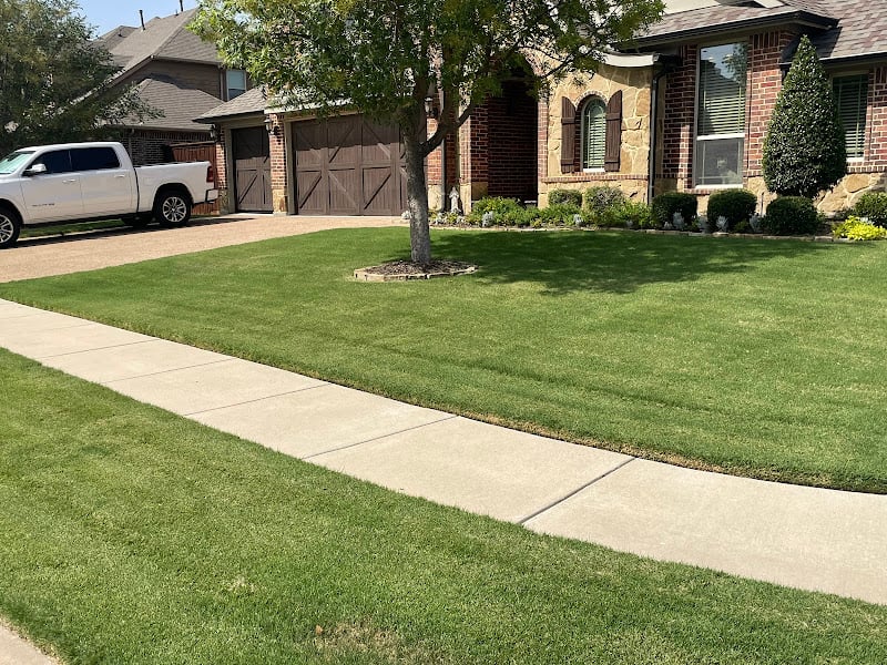 Weedex Lawn Care