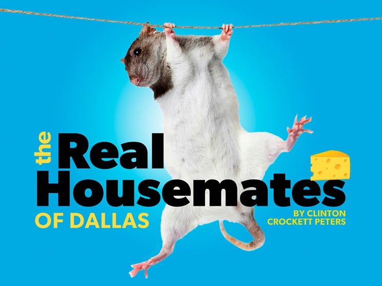 Omega Animal Removal Dallas