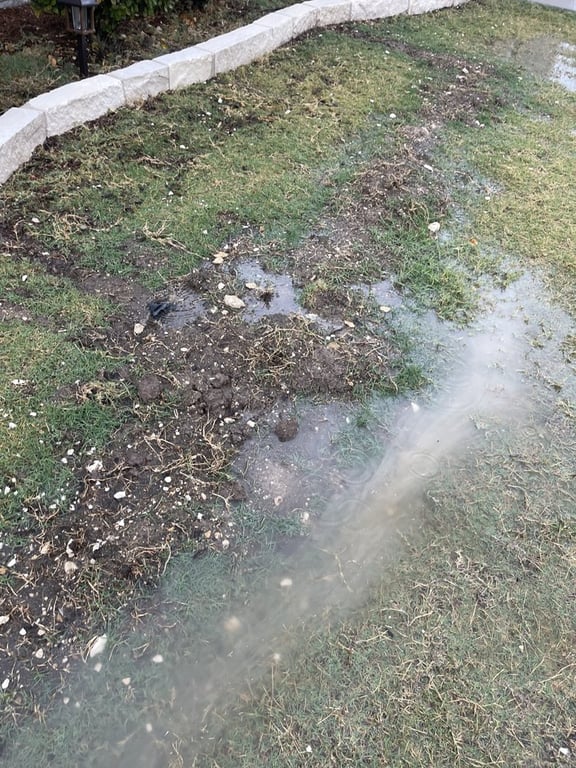 A+ Landscaping & Services