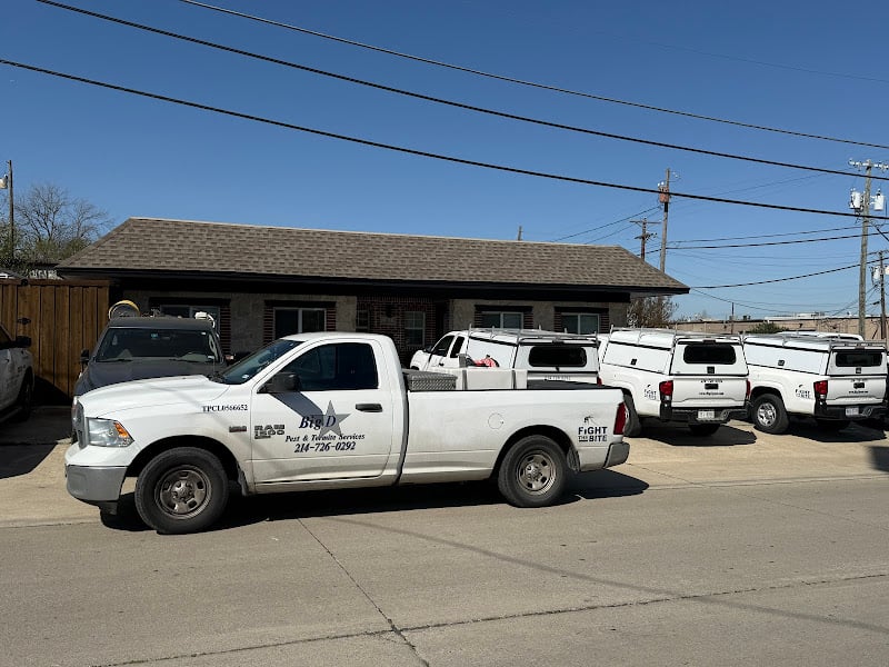 Big D Pest & Termite Services