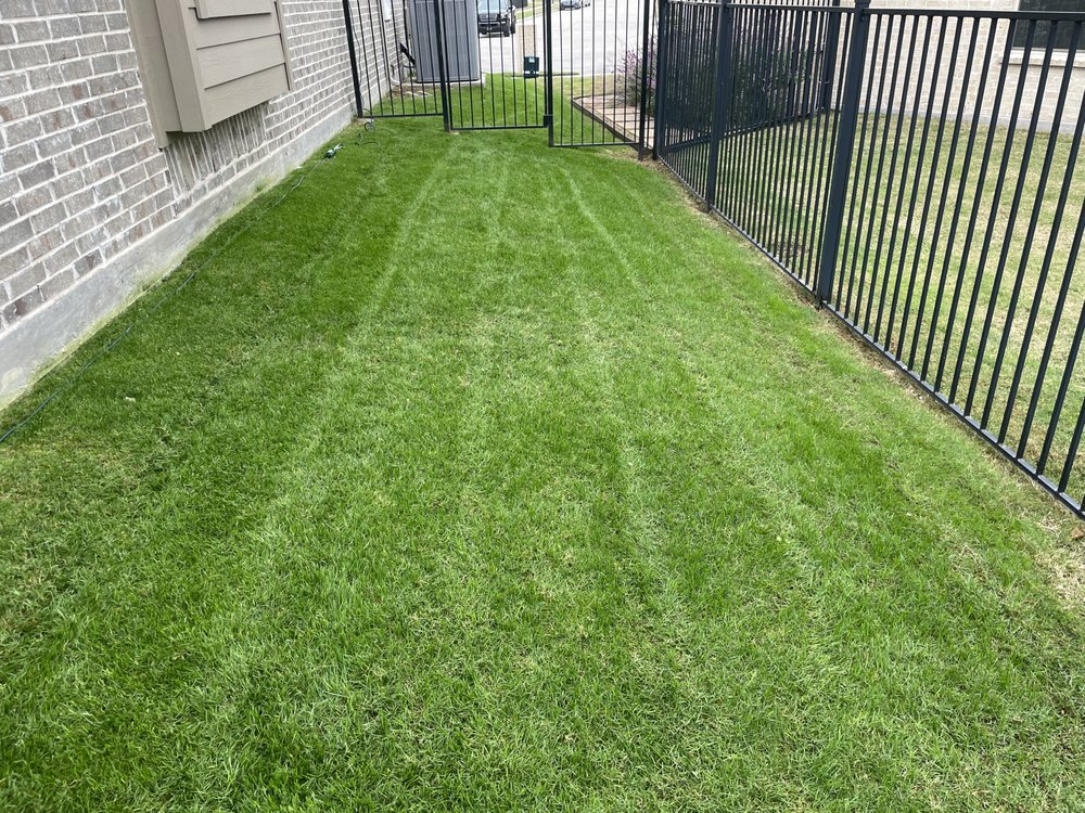 Verde Lawn DFW