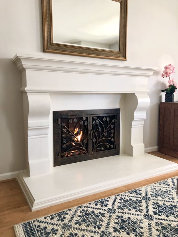 Fireplace Door Guy