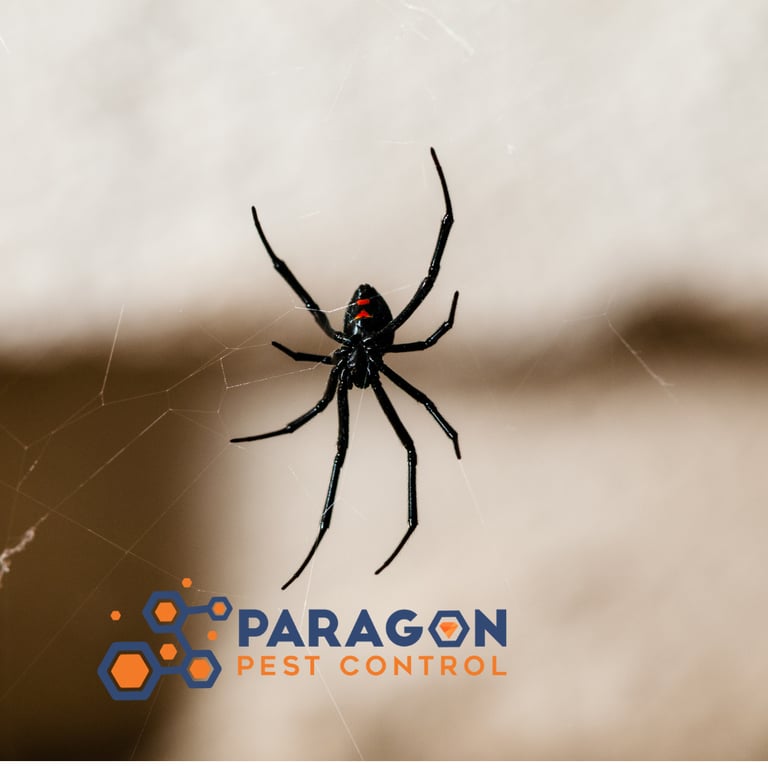 Paragon Pest Control