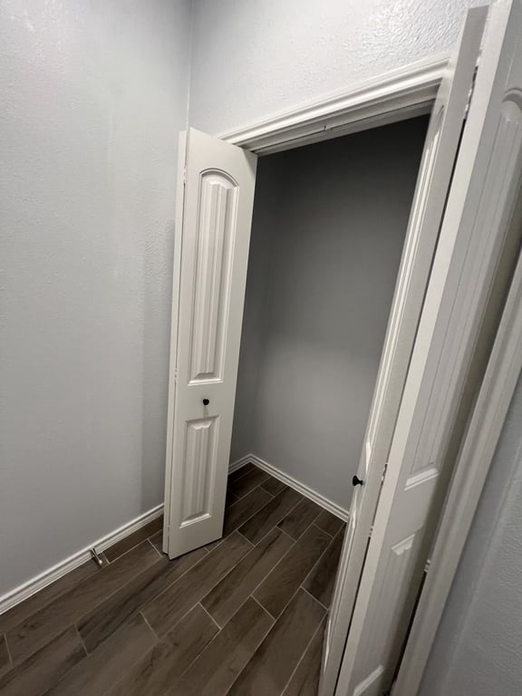 Rosas Premier Painting