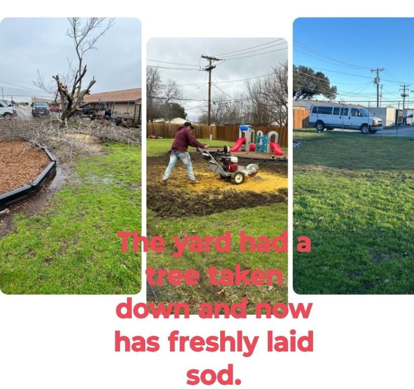 Woodpecker Tree Service and Fence