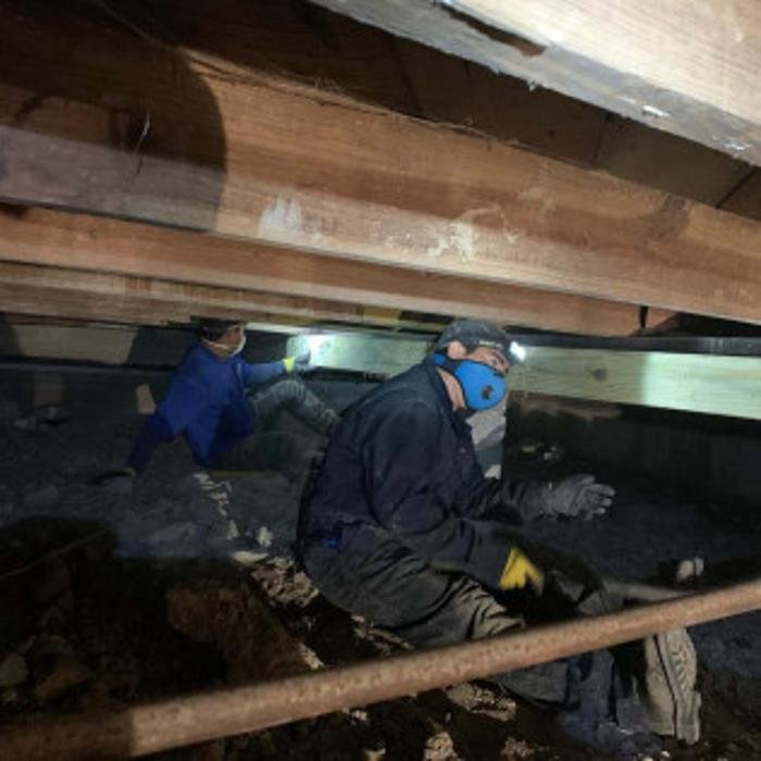 Elite Foundation Repairs