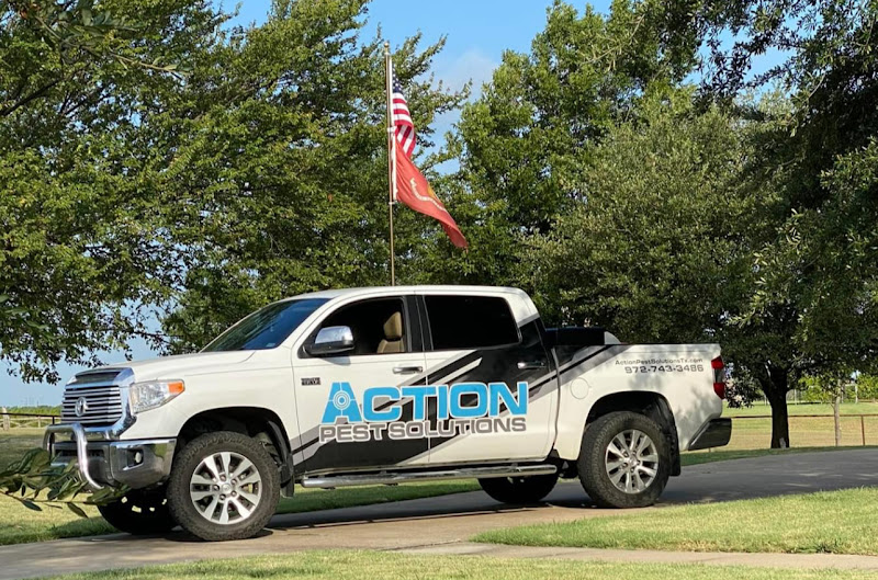 Action Pest Solutions