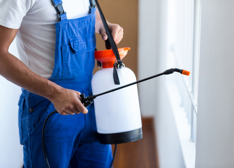 Super Pest Services