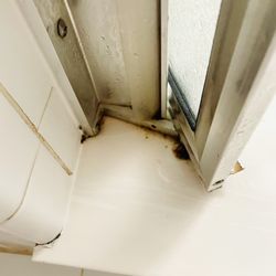 The Joy Of Clean