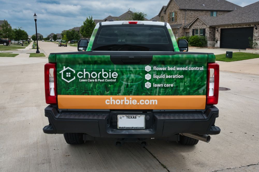 Chorbie