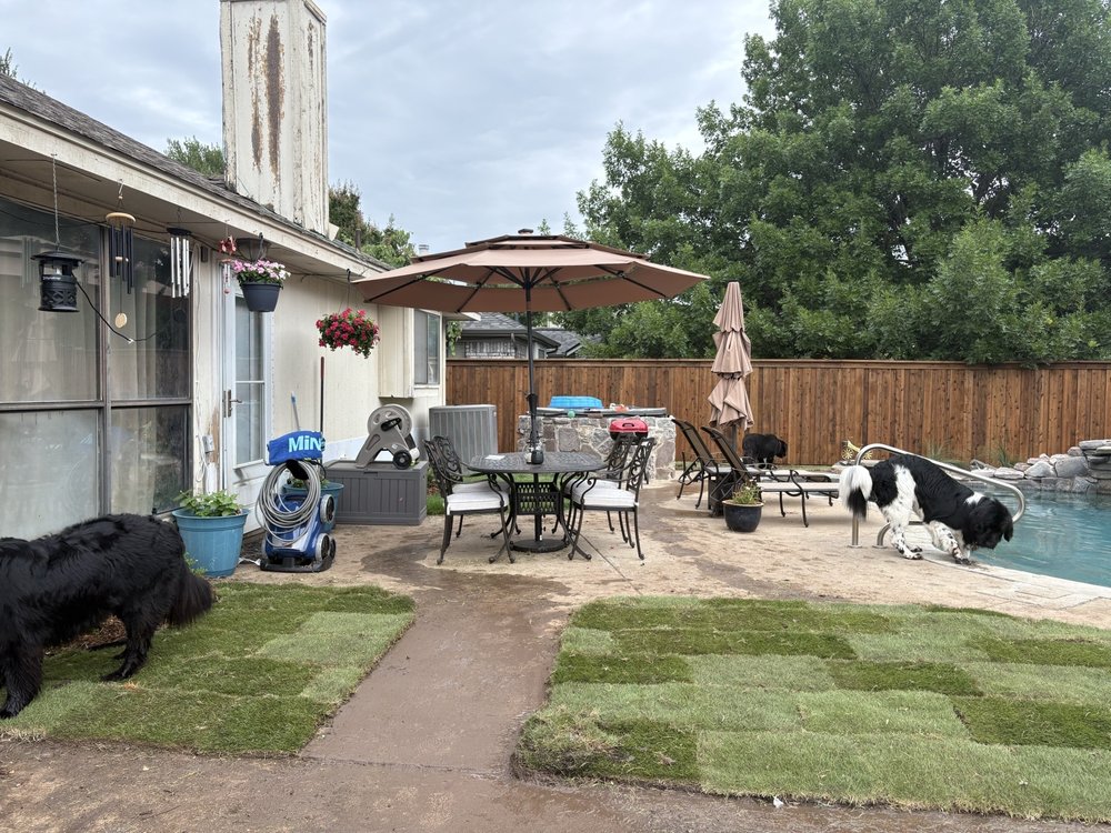 Arboreal Lawn & Landscape