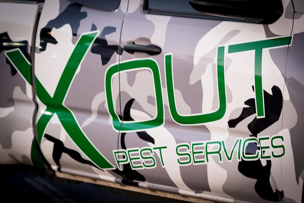 X Out Pest Services
