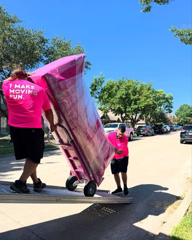 Pink Zebra Moving