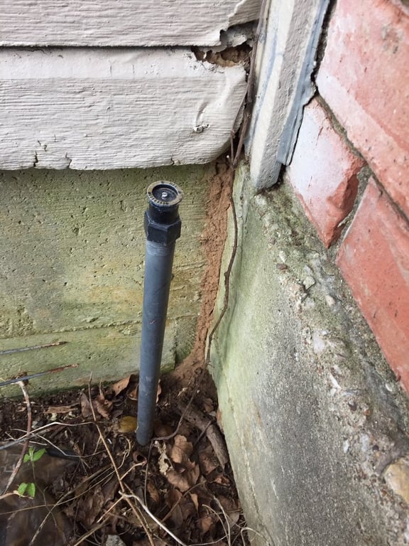 Sureguard Termite & Pest Services