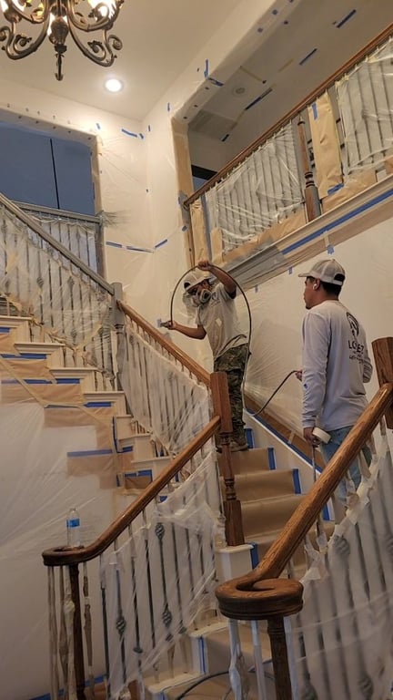 Lopez Pro Painting