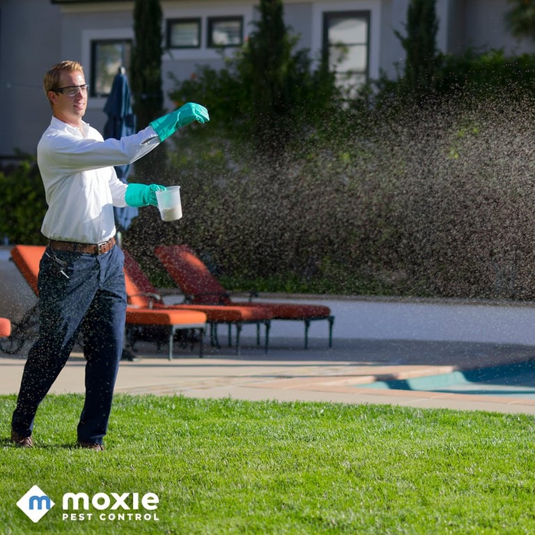 Moxie Pest Control - Dallas