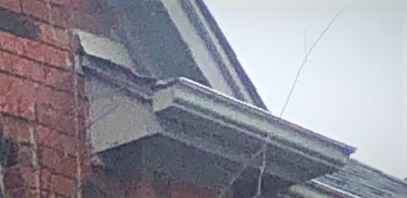 Xpert Pest Solutions