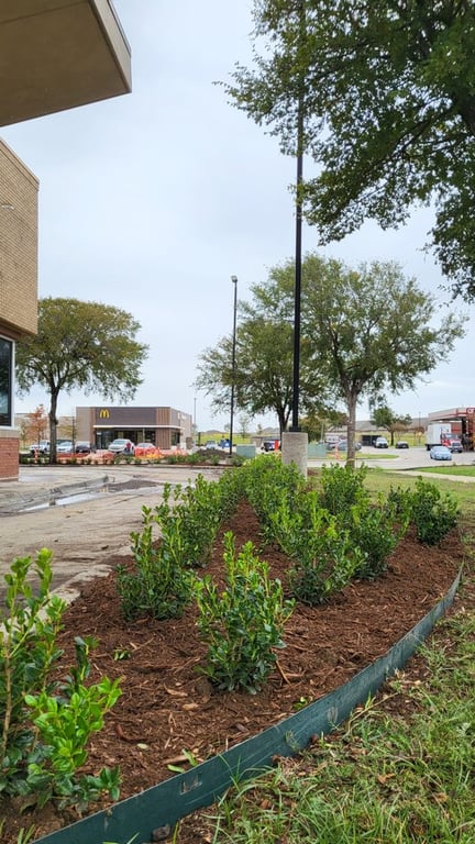 Texas Sage Landscaping & Lawn
