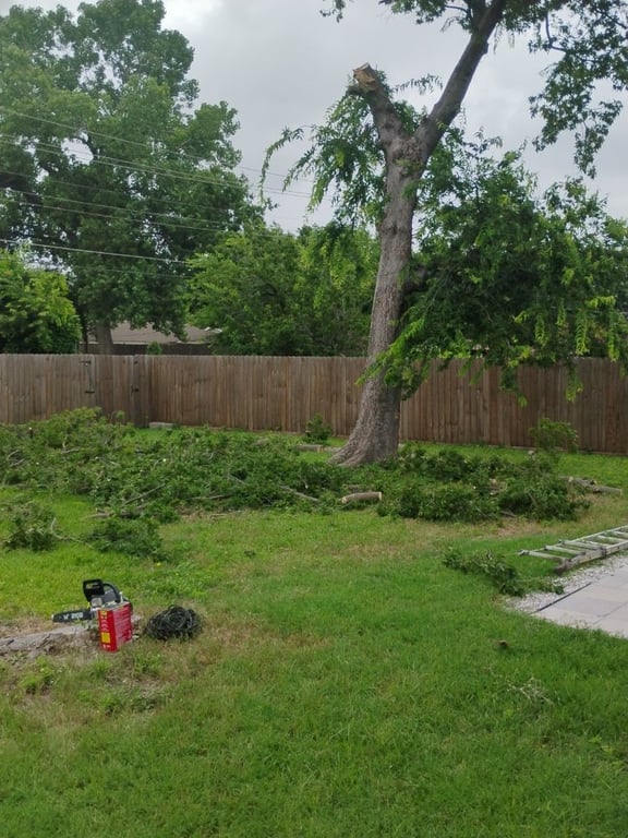 Todd Fence And Gate Repair