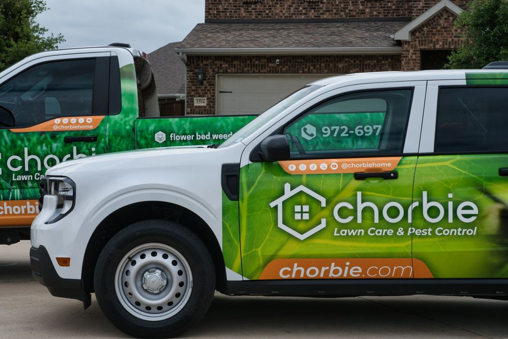 Chorbie