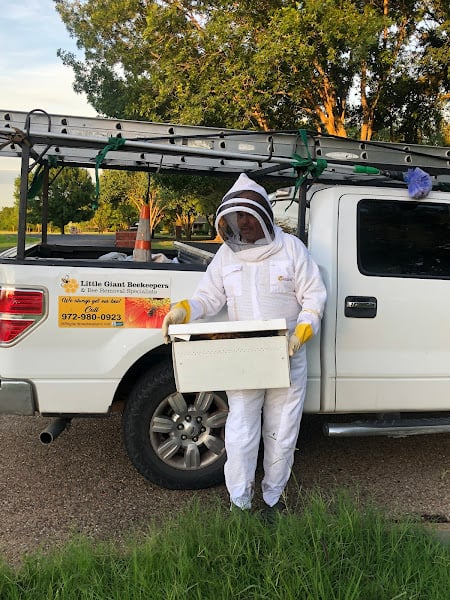 Little Giant Beekeepers & Bee Removal Specialists