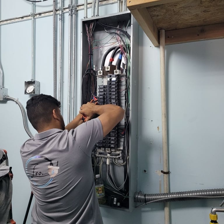 Leo Electric Service