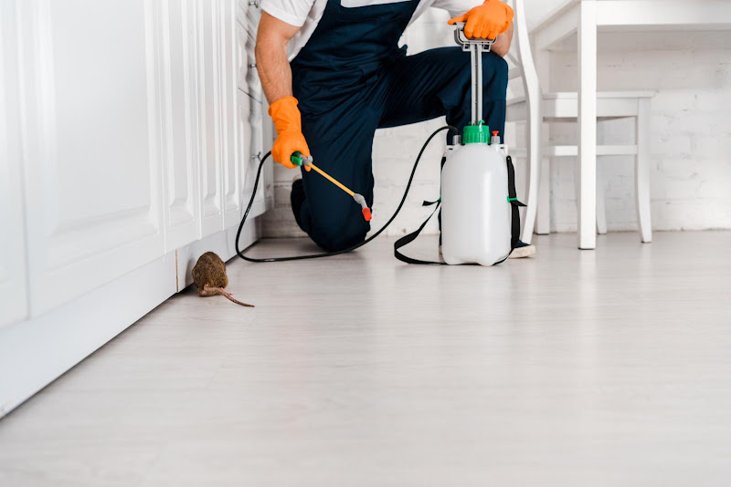 Max Exterminators Dallas