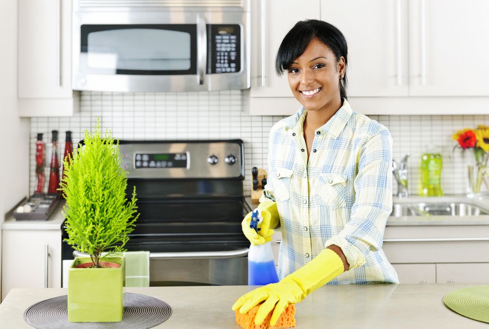 Sparkle The Cleaning Service