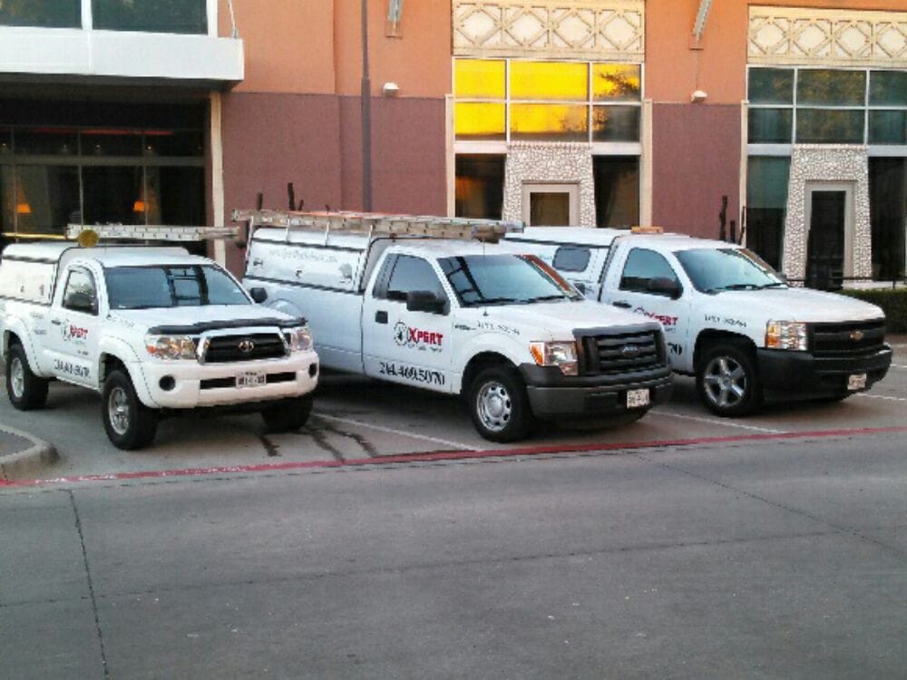 Xpert Pest Solutions