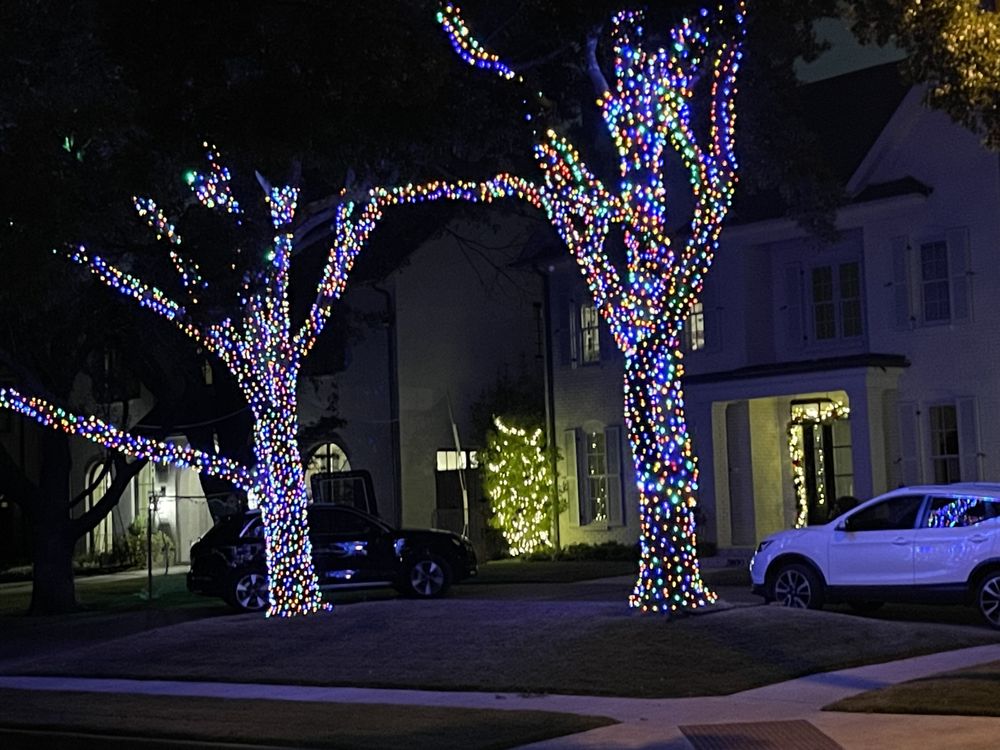 Elfs Christmas Lights