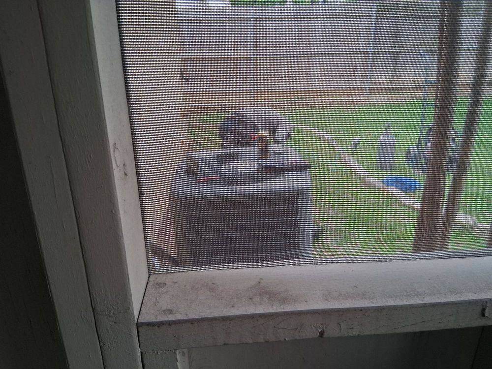 A/C Lady