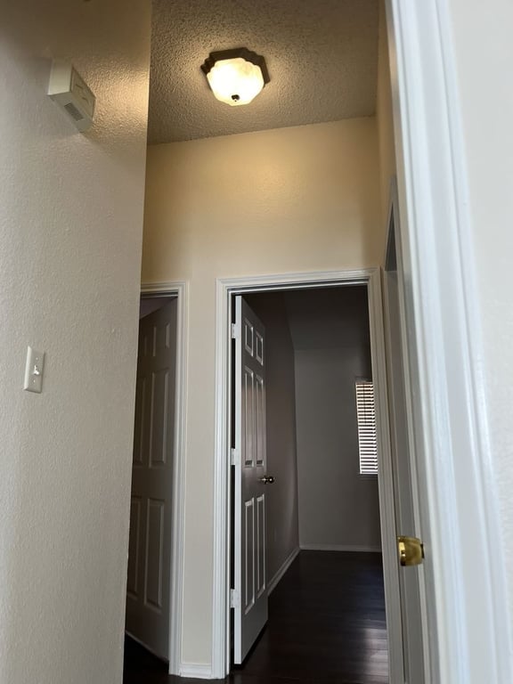 Next Door Painting