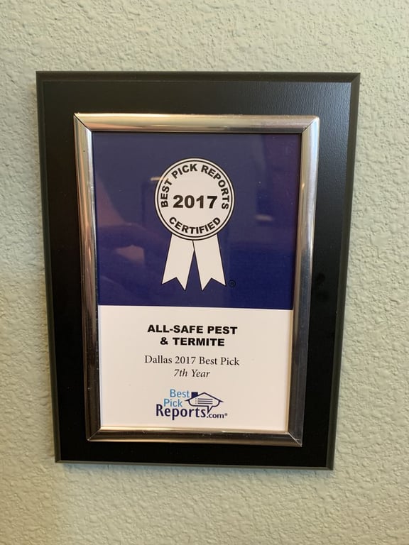 All-Safe Pest & Termite