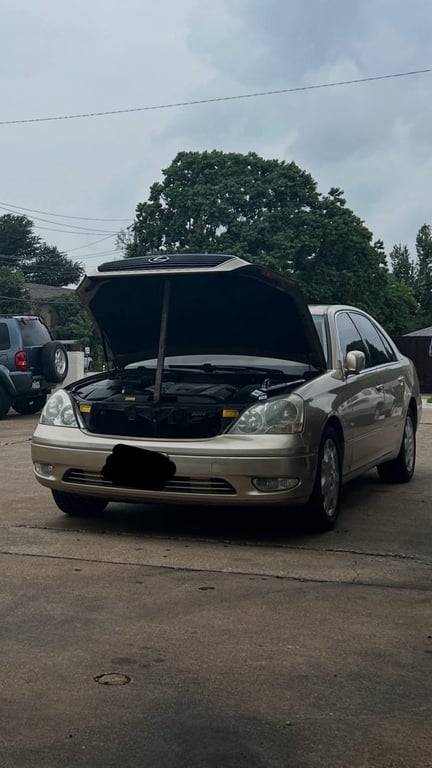 Northaven Automotive