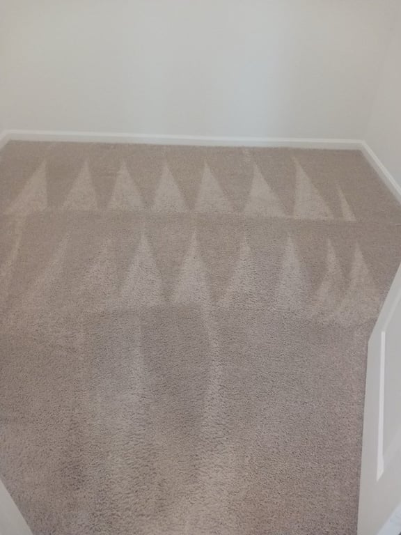 SusyQ’s Cleaning