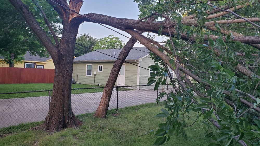 Torres Tree Service