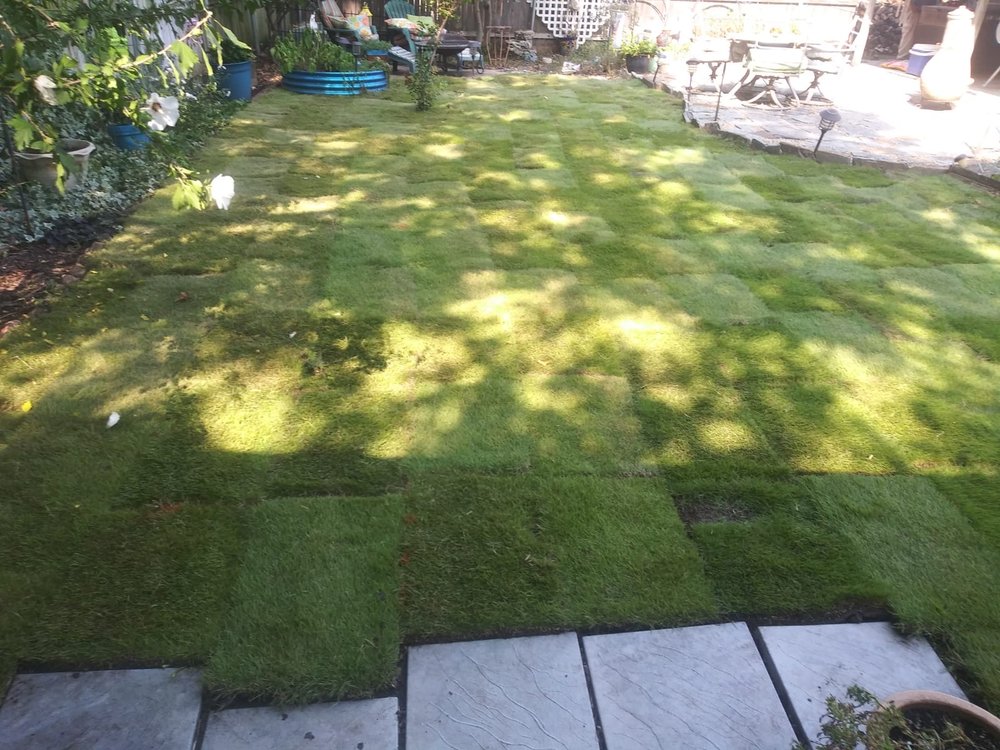 Fidel Hernandez Landscaping